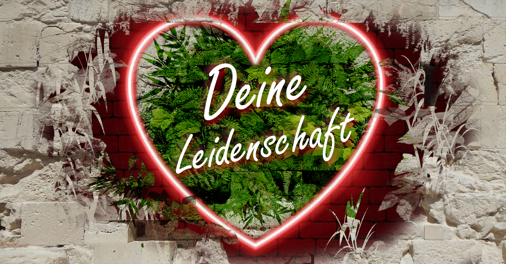 01-heART-Deine-Leidenschaft.gif